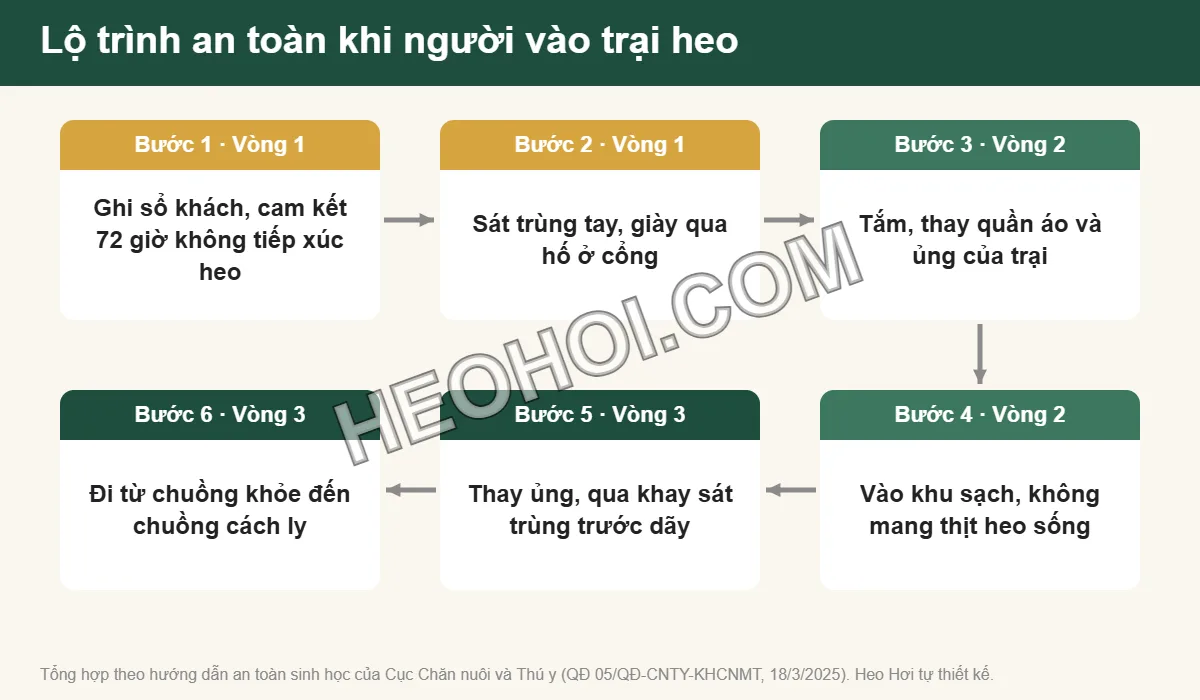 Lộ trình 6 bước an toàn sinh học khi người vào trại heo