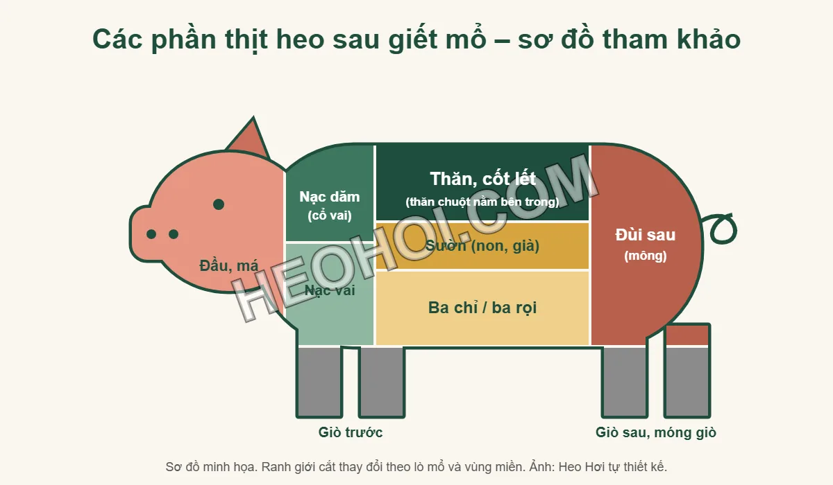 Sơ đồ các phần thịt heo: đầu, nạc dăm, nạc vai, thăn cốt lết, sườn, ba chỉ, đùi sau, giò chân