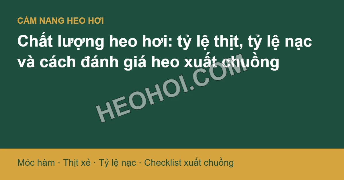 Chất lượng heo hơi: tỷ lệ thịt, tỷ lệ nạc và cách đánh giá heo xuất chuồng