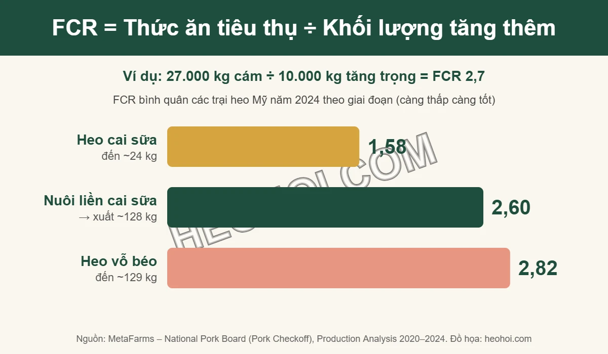 Công thức FCR = thức ăn tiêu thụ chia khối lượng tăng thêm và biểu đồ FCR heo theo giai đoạn: heo cai sữa 1,58, nuôi liền 2,60, vỗ béo 2,82
