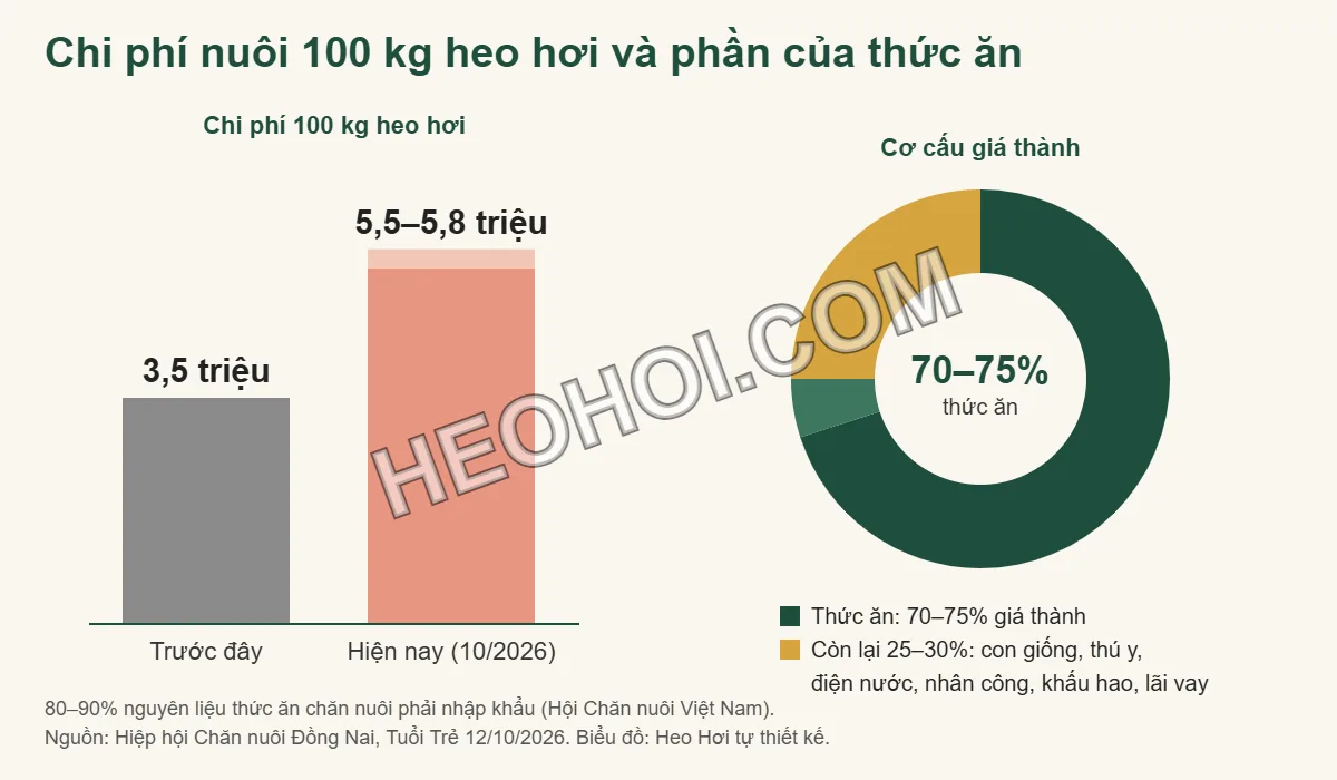 Biểu đồ chi phí nuôi 100 kg heo hơi tăng từ 3,5 triệu lên 5,5–5,8 triệu đồng, thức ăn chiếm 70–75% giá thành
