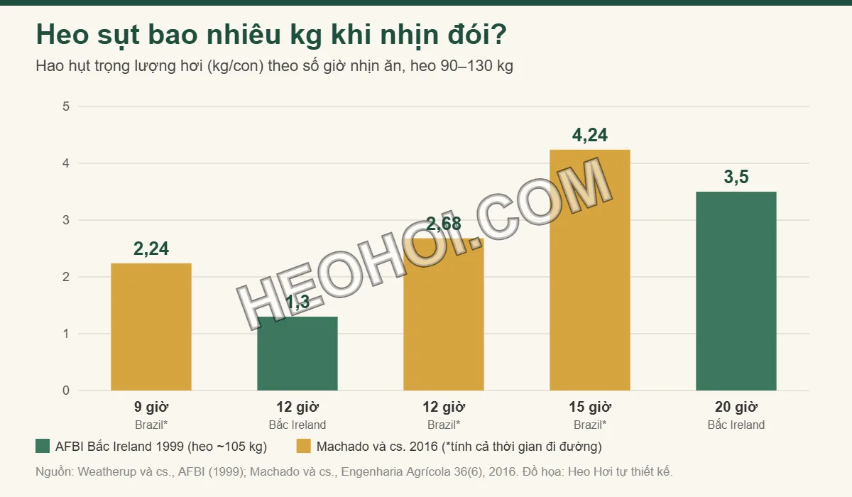 Biểu đồ hao hụt trọng lượng heo theo số giờ nhịn đói từ 9 đến 20 giờ, số liệu AFBI 1999 và Machado 2016