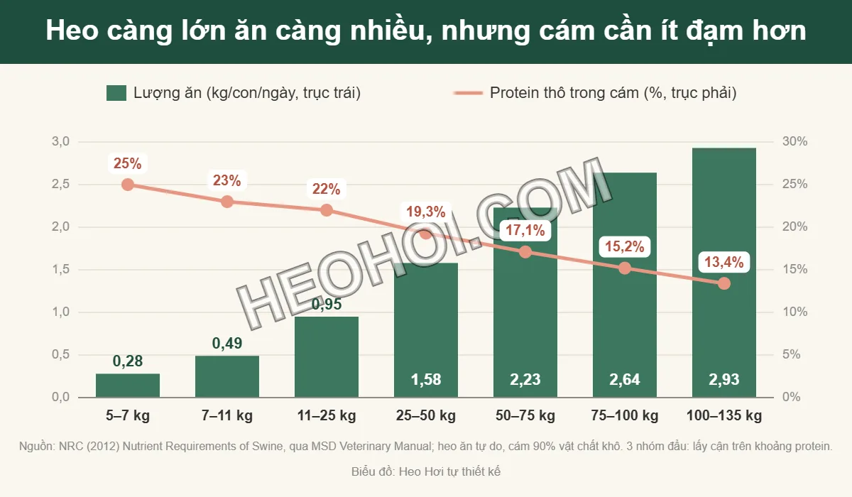 Biểu đồ lượng ăn và tỷ lệ protein thô trong cám heo thịt theo khối lượng, theo NRC 2012
