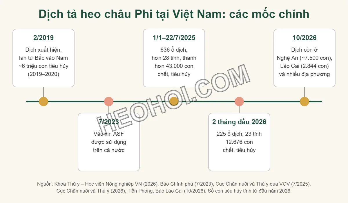 Dòng thời gian dịch tả heo châu Phi tại Việt Nam từ năm 2019 đến tháng 10/2026