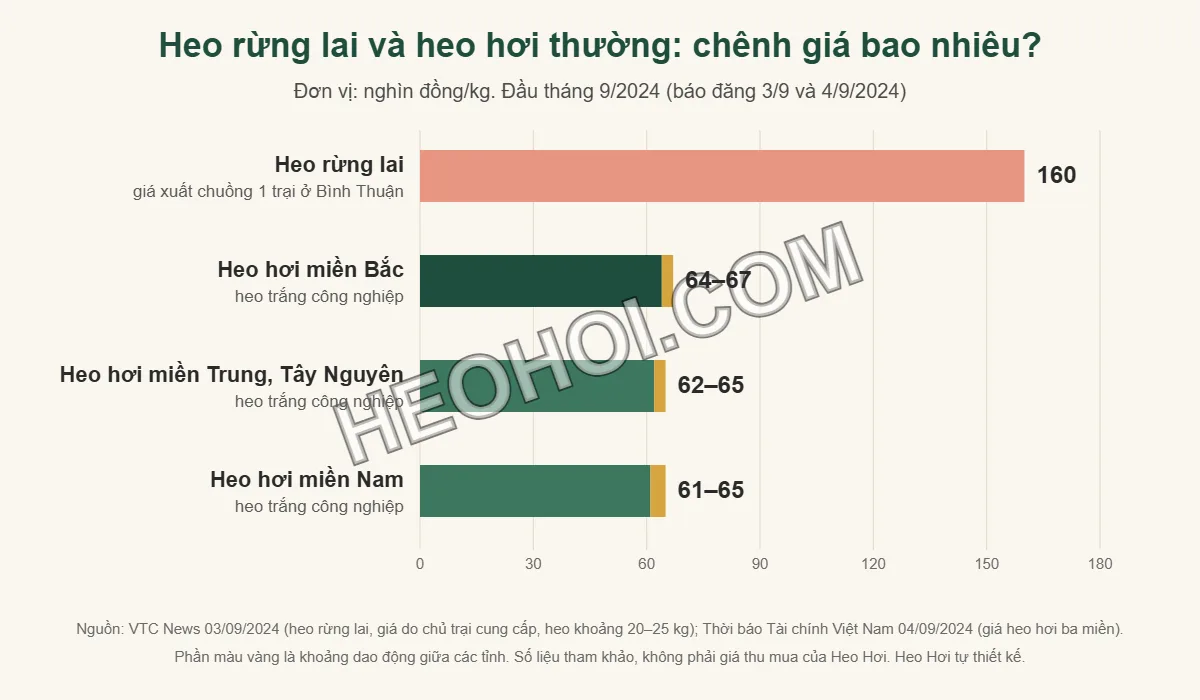 Biểu đồ so sánh giá xuất chuồng heo rừng lai 160.000 đồng/kg với giá heo hơi ba miền 61.000–67.000 đồng/kg đầu tháng 9/2024