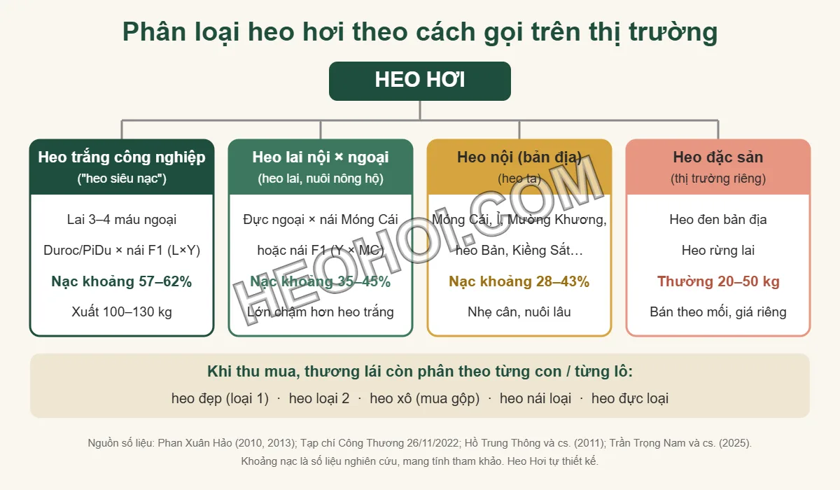 Sơ đồ phân loại heo hơi: heo trắng công nghiệp, heo lai nội ngoại, heo nội và heo đặc sản kèm khoảng tỷ lệ nạc