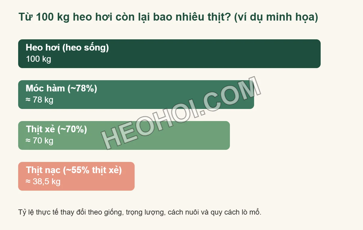 Ví dụ quy đổi 100 kg heo hơi ra khoảng 78 kg móc hàm, 70 kg thịt xẻ và 38,5 kg thịt nạc