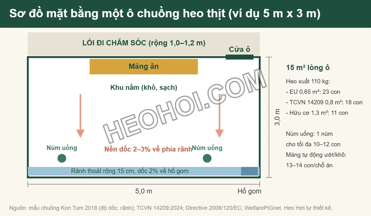 Sơ đồ mặt bằng ô chuồng heo thịt 5 m x 3 m với lối đi, máng ăn, núm uống, nền dốc 2–3% và rãnh thoát nước