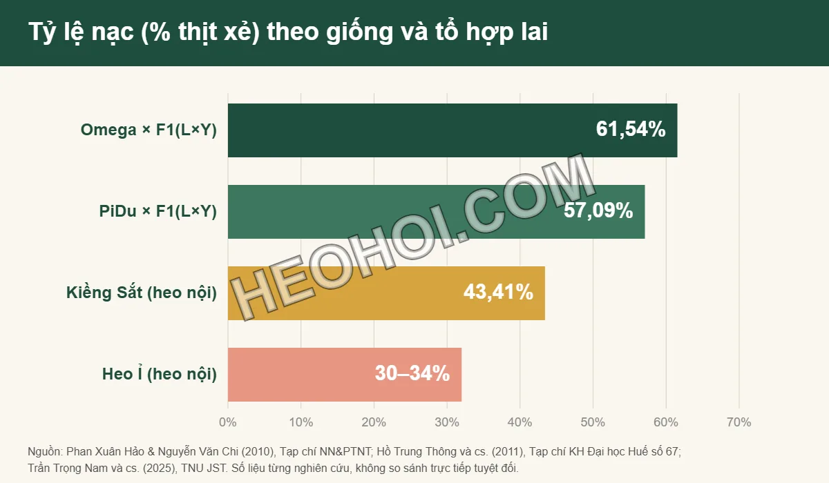 Biểu đồ so sánh tỷ lệ nạc heo theo giống: Omega lai 61,54%, PiDu lai 57,09%, Kiềng Sắt 43,41%, heo Ỉ 30–34%