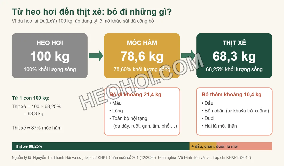Sơ đồ quy đổi heo hơi 100 kg sang móc hàm 78,6 kg và thịt xẻ 68,3 kg, kèm các bộ phận bị loại bỏ